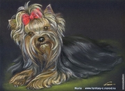 Груминг собак в Копейске